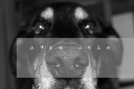 法律咨询 公司名称 法律咨询 公司名称